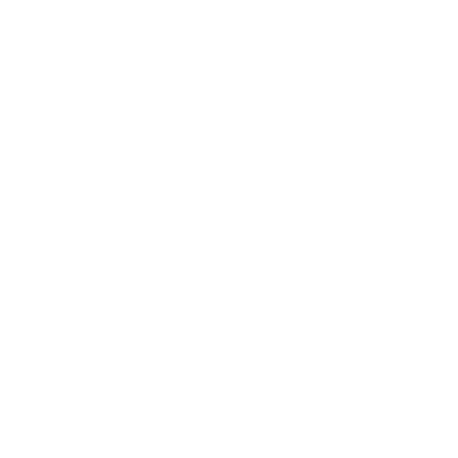 Audit & Assurance